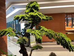 -许爷家·生态湖鲜(徐汇日月光店)