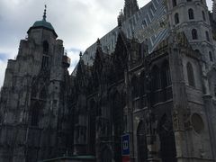 -斯蒂芬主教座堂(Stephansdom)
