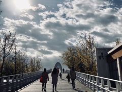 -大兴滨河森林公园