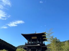 -大唐贡茶院