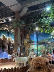 -宝燕乐园(闵行旗舰店)