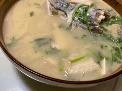 -煲来饱去冷水鱼