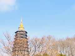 -红梅公园