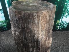 -延庆地质公园博物馆