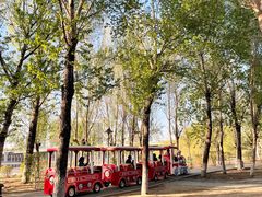 -长白岛森林公园