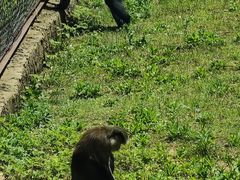 -杭州野生动物世界
