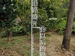-云溪植物园