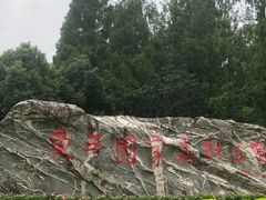 -东平国家森林公园