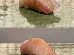 -炎橘·板前料理 Omakase