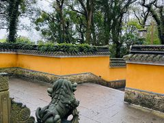 -普陀山风景名胜区-法雨禅寺