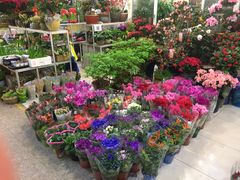 -双季花艺园艺市场(浦东店)