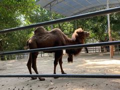 -广东茂名森林公园