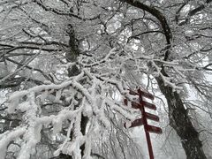 -永州阳明山国家森林公园