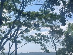 -宝石山