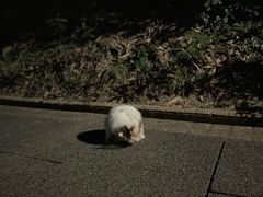 -碧水湾温泉