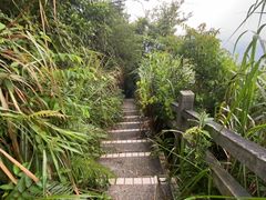 -广州市帽峰山景区