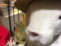 -恋物百货商店(华侨城店)