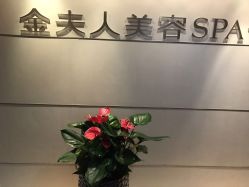 -金夫人美容