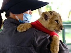 -秦皇岛野生动物园
