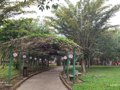 -红色娘子军纪念园