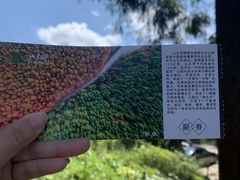 -山王坪喀斯特国家生态公园