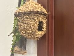 -鱼乐岛餐厅·户外花园主题餐厅