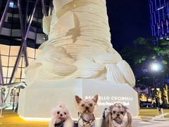 -深圳湾万象城(南山店)