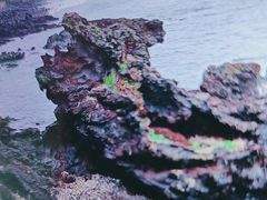 -龙头岩(Dragon Head Rock)