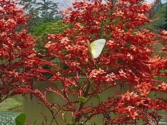 -中国科学院西双版纳热带植物园