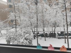 -山东齐盛国际宾馆-宴会厅