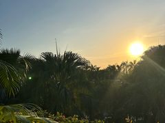 -日落吧·海景咖啡厅·餐酒吧·鸡尾酒·下午茶·乐队表演·浪漫夕阳·三亚文华东方酒店