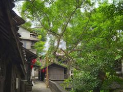 -土城古镇