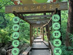 -大岭沟猕猴桃谷风景区