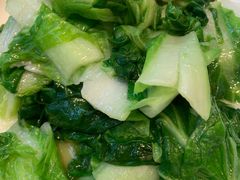 -饭怕鱼(阳光100店)