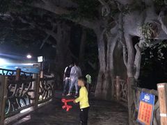 -苏州海洋馆