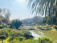-东莞植物园