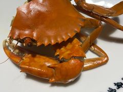 -91小龙虾·香辣蛙(蛇口店)