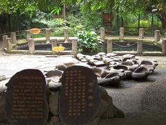 -成都市活水公园