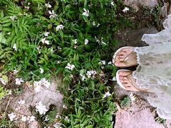 景点-楠溪江风景名胜区