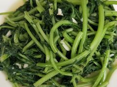 -范记靖远羊羔肉(博物馆店)