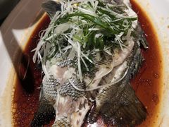 -张记旺角食街(动物园店)