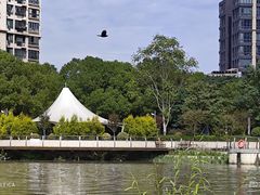 -苏州河梦清园环保主题公园