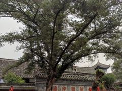 -宝光寺