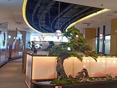 -马家斑.鲜鱼火锅(松湖万科店)