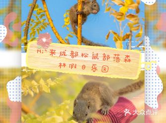 遛娃‖成都松鼠️部落森林假日乐园