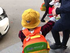 -旺斯达国际幼儿园(野芷湖西路)