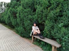 -护国法轮寺