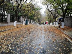 -八大关景区