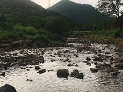 -北仑森林植物园