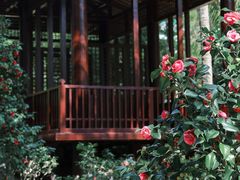 -深圳国际园林花卉博览园